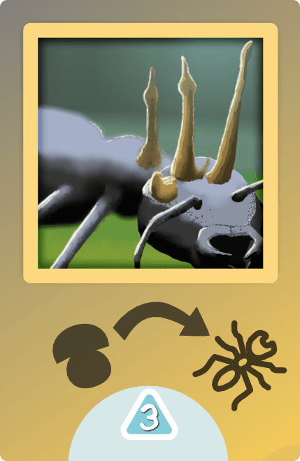 Cordyceps adaptation card