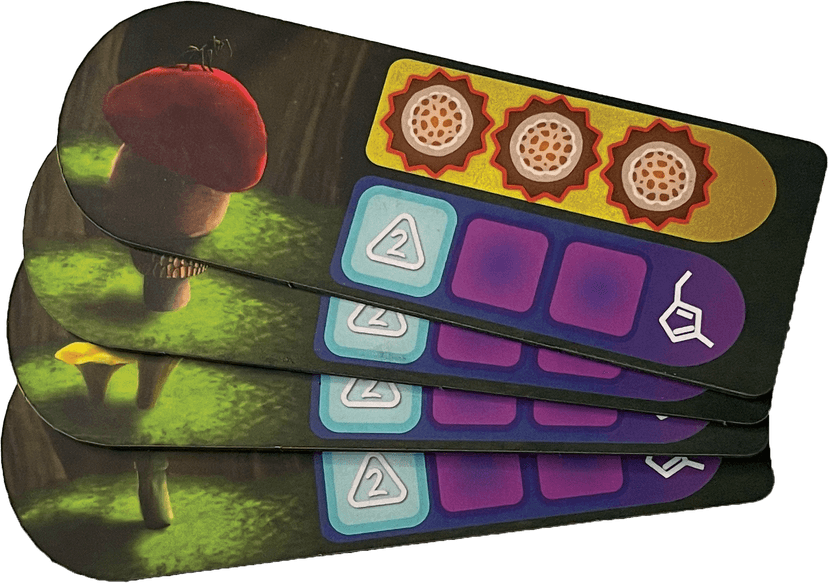 4 player tracking boards